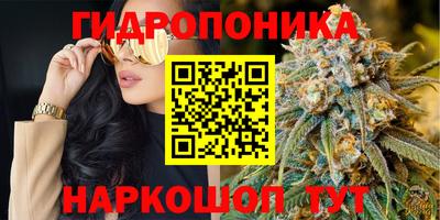mdma Гай