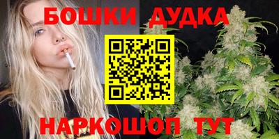 apvp Гагарин