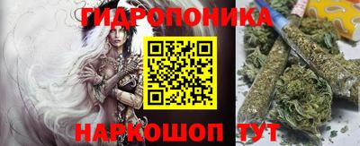 apvp Гагарин