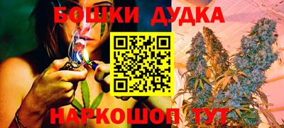 apvp Гагарин