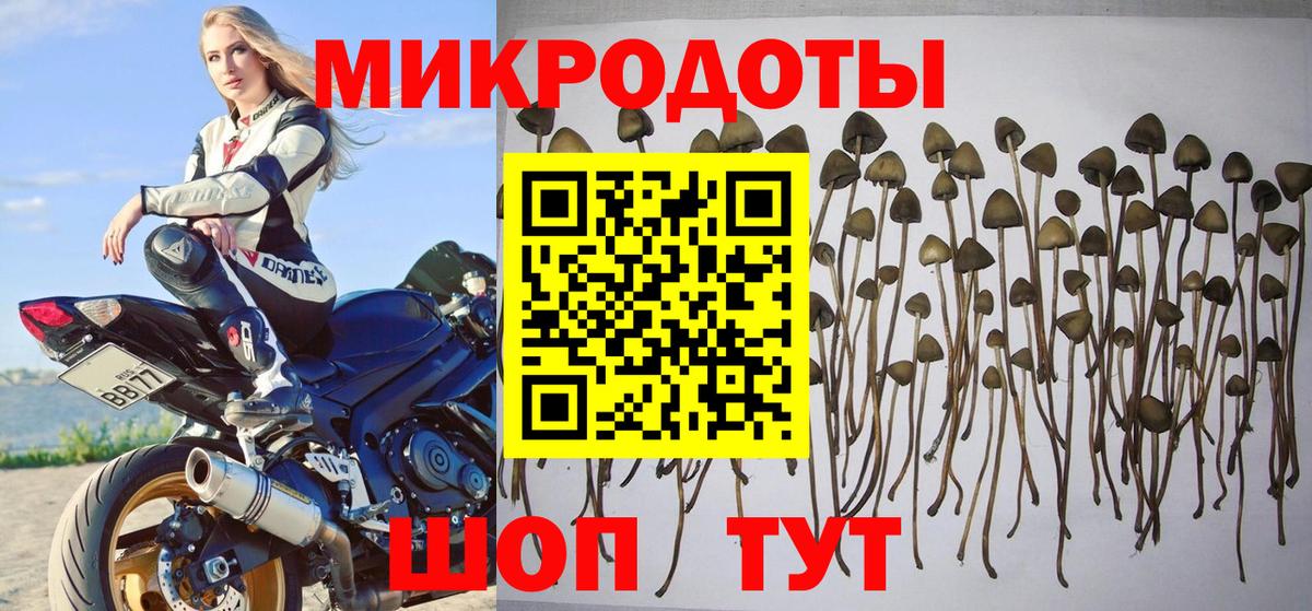 Псилоцибиновые грибы Cubensis  как найти закладки  Тихорецк  Вход с VPN  Галлюциногенные грибы Psilocybe 