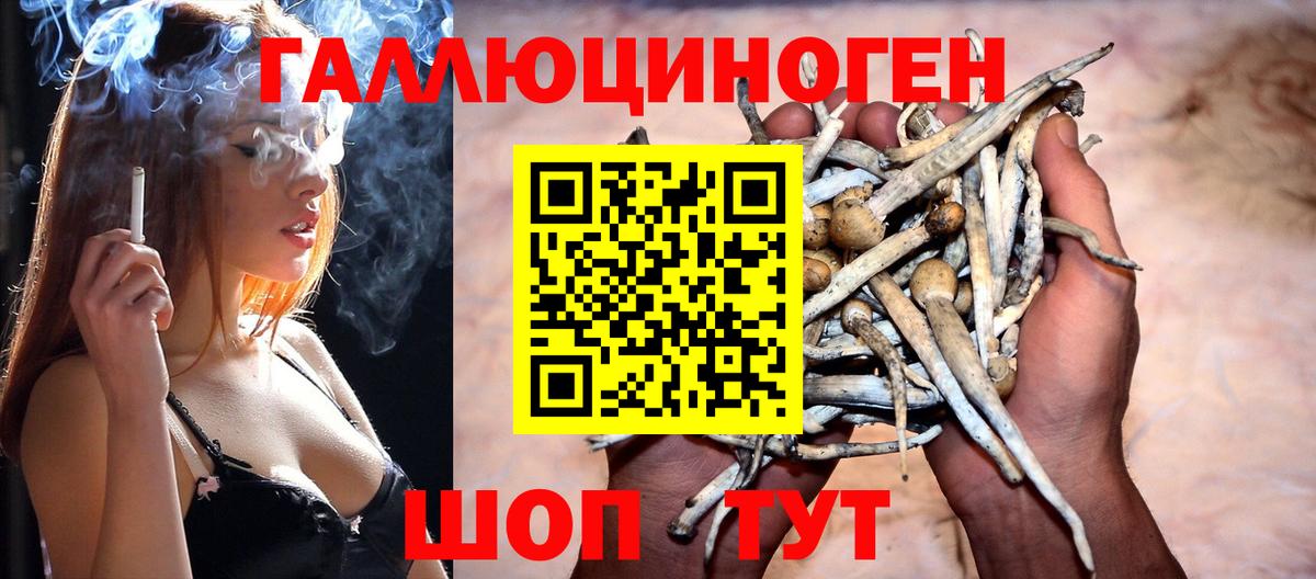 Псилоцибиновые грибы ЛСД Тихорецк